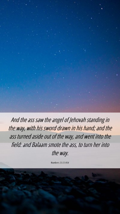 Picture 06 - Numbers 22:23 ASV Mobile Phone Wallpaper - And the ass saw the angel of Jehovah standing in - Mobile Bible Verse Wallpaper