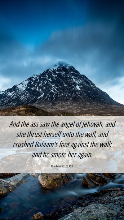 Picture 06 - Numbers 22:25 ASV Mobile Phone Wallpaper - And the ass saw the angel of Jehovah, and she - Mobile Bible Verse Wallpaper