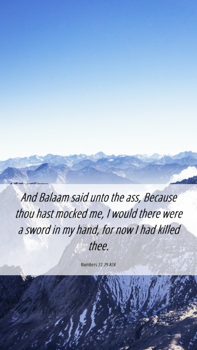 Picture 06 - Numbers 22:29 ASV Mobile Phone Wallpaper - And Balaam said unto the ass, Because thou hast - Mobile Bible Verse Wallpaper