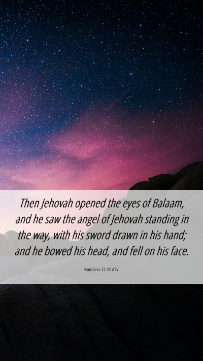 Picture 06 - Numbers 22:31 ASV Mobile Phone Wallpaper - Then Jehovah opened the eyes of Balaam, and he - Mobile Bible Verse Wallpaper
