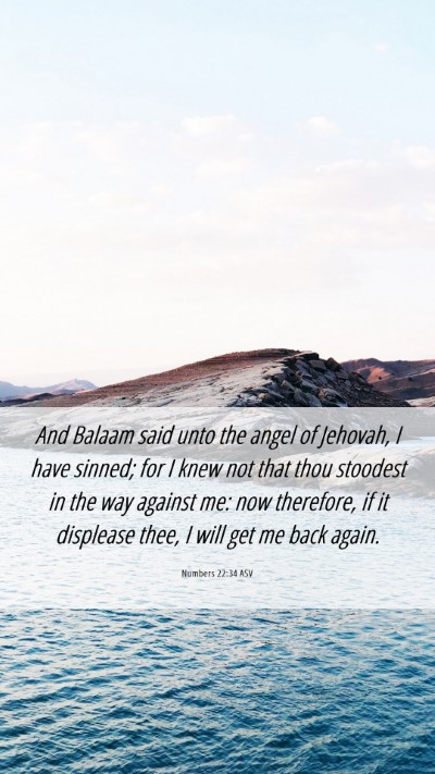 Picture 06 - Numbers 22:34 ASV Mobile Phone Wallpaper - And Balaam said unto the angel of Jehovah, I have - Mobile Bible Verse Wallpaper