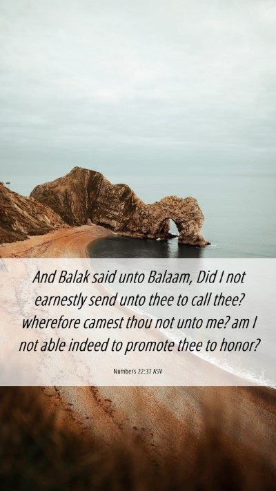Picture 06 - Numbers 22:37 ASV Mobile Phone Wallpaper - And Balak said unto Balaam, Did I not earnestly - Mobile Bible Verse Wallpaper