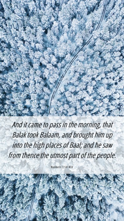 Picture 06 - Numbers 22:41 ASV Mobile Phone Wallpaper - And it came to pass in the morning, that Balak - Mobile Bible Verse Wallpaper