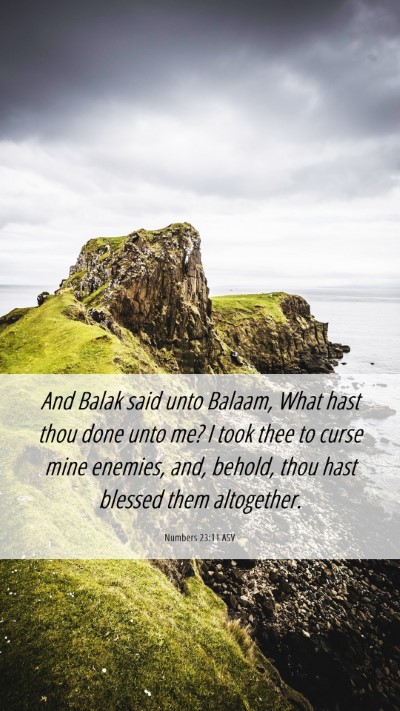 Picture 06 - Numbers 23:11 ASV Mobile Phone Wallpaper - And Balak said unto Balaam, What hast thou done - Mobile Bible Verse Wallpaper