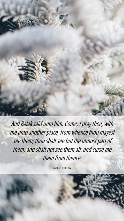 Picture 06 - Numbers 23:13 ASV Mobile Phone Wallpaper - And Balak said unto him, Come, I pray thee, with - Mobile Bible Verse Wallpaper