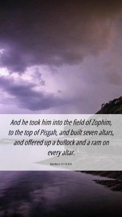 Picture 06 - Numbers 23:14 ASV Mobile Phone Wallpaper - And he took him into the field of Zophim, to the - Mobile Bible Verse Wallpaper