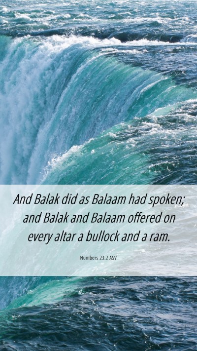 Picture 06 - Numbers 23:2 ASV Mobile Phone Wallpaper - And Balak did as Balaam had spoken; and Balak and - Mobile Bible Verse Wallpaper