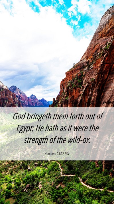 Picture 06 - Numbers 23:22 ASV Mobile Phone Wallpaper - God bringeth them forth out of Egypt; He hath as - Mobile Bible Verse Wallpaper