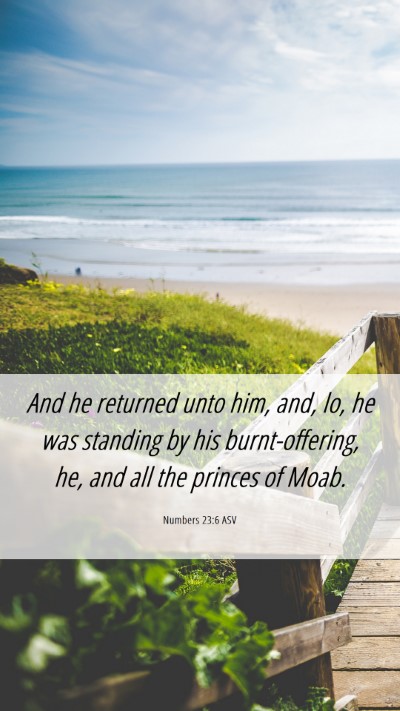 Picture 06 - Numbers 23:6 ASV Mobile Phone Wallpaper - And he returned unto him, and, lo, he was - Mobile Bible Verse Wallpaper