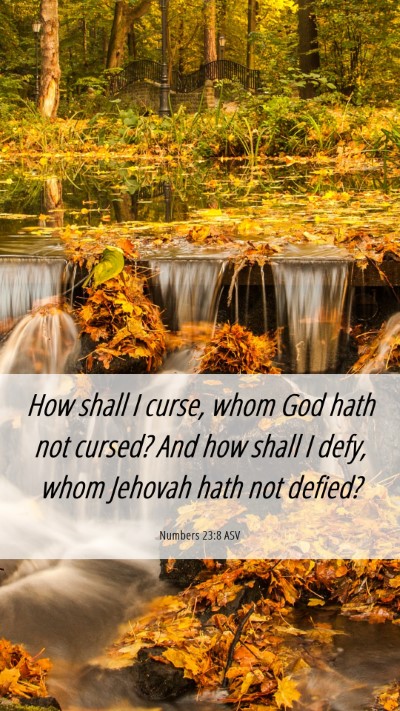 Picture 06 - Numbers 23:8 ASV Mobile Phone Wallpaper - How shall I curse, whom God hath not cursed? And - Mobile Bible Verse Wallpaper