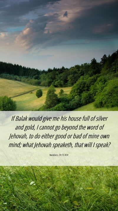 Picture 06 - Numbers 24:13 ASV Mobile Phone Wallpaper - If Balak would give me his house full of silver - Mobile Bible Verse Wallpaper
