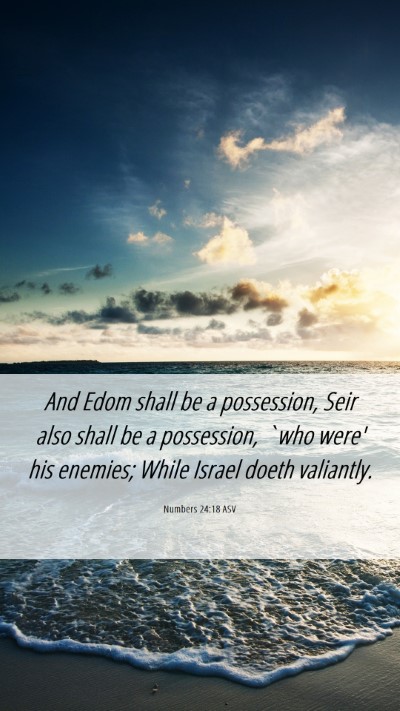 Picture 06 - Numbers 24:18 ASV Mobile Phone Wallpaper - And Edom shall be a possession, Seir also shall - Mobile Bible Verse Wallpaper
