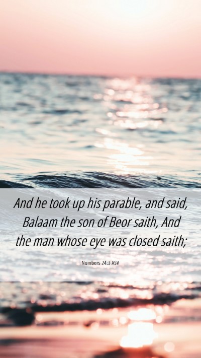 Picture 06 - Numbers 24:3 ASV Mobile Phone Wallpaper - And he took up his parable, and said, Balaam the - Mobile Bible Verse Wallpaper