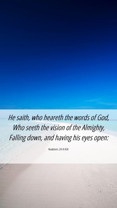 Picture 06 - Numbers 24:4 ASV Mobile Phone Wallpaper - He saith, who heareth the words of God, Who seeth - Mobile Bible Verse Wallpaper