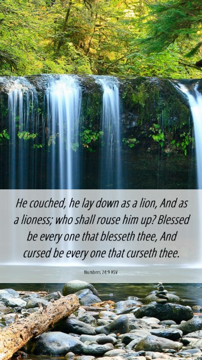 Picture 06 - Numbers 24:9 ASV Mobile Phone Wallpaper - He couched, he lay down as a lion, And as a - Mobile Bible Verse Wallpaper
