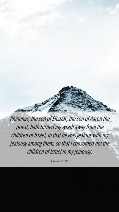 Picture 06 - Numbers 25:11 ASV Mobile Phone Wallpaper - Phinehas, the son of Eleazar, the son of Aaron - Mobile Bible Verse Wallpaper