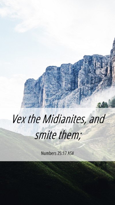 Picture 06 - Numbers 25:17 ASV Mobile Phone Wallpaper - Vex the Midianites, and smite - Mobile Bible Verse Wallpaper