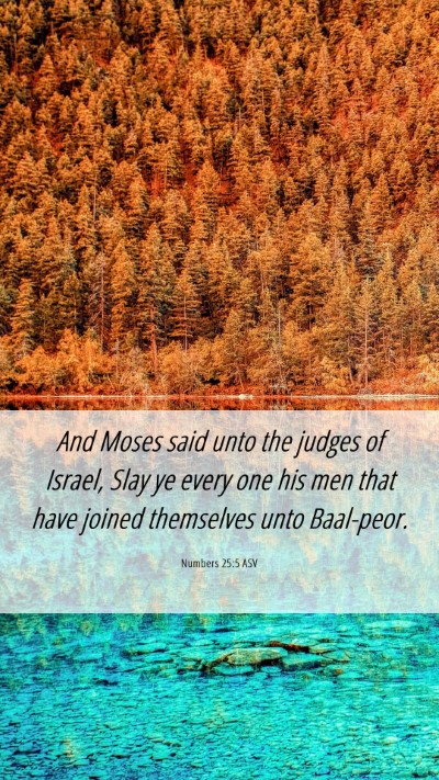 Picture 06 - Numbers 25:5 ASV Mobile Phone Wallpaper - And Moses said unto the judges of Israel, Slay ye - Mobile Bible Verse Wallpaper