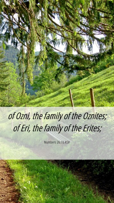 Picture 06 - Numbers 26:16 ASV Mobile Phone Wallpaper - of Ozni, the family of the Oznites; of Eri, the - Mobile Bible Verse Wallpaper