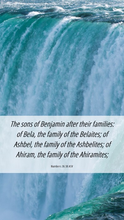 Picture 06 - Numbers 26:38 ASV Mobile Phone Wallpaper - The sons of Benjamin after their families: of - Mobile Bible Verse Wallpaper
