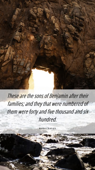 Picture 06 - Numbers 26:41 ASV Mobile Phone Wallpaper - These are the sons of Benjamin after their - Mobile Bible Verse Wallpaper