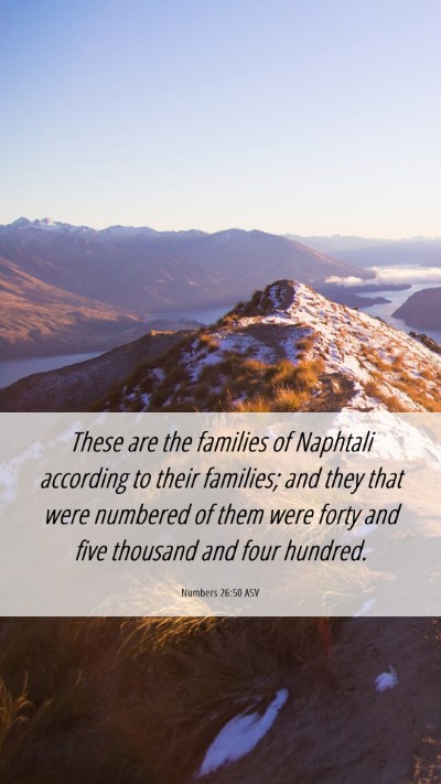 Picture 06 - Numbers 26:50 ASV Mobile Phone Wallpaper - These are the families of Naphtali according to - Mobile Bible Verse Wallpaper