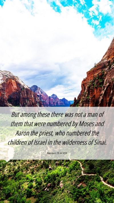 Picture 06 - Numbers 26:64 ASV Mobile Phone Wallpaper - But among these there was not a man of them that - Mobile Bible Verse Wallpaper