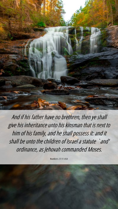 Picture 06 - Numbers 27:11 ASV Mobile Phone Wallpaper - And if his father have no brethren, then ye shall - Mobile Bible Verse Wallpaper