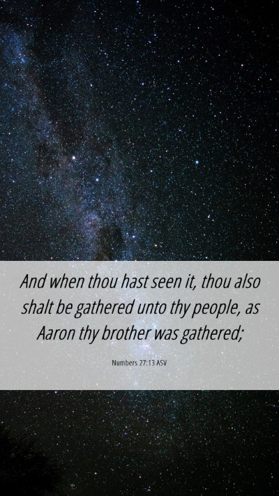 Picture 06 - Numbers 27:13 ASV Mobile Phone Wallpaper - And when thou hast seen it, thou also shalt be - Mobile Bible Verse Wallpaper