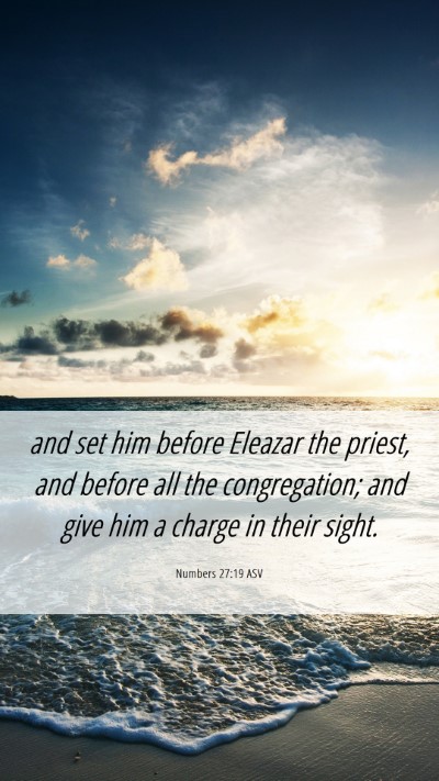 Picture 06 - Numbers 27:19 ASV Mobile Phone Wallpaper - and set him before Eleazar the priest, and before - Mobile Bible Verse Wallpaper