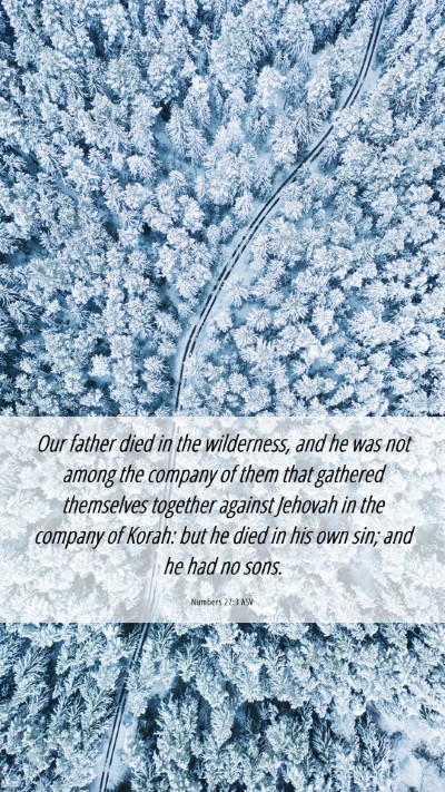 Picture 06 - Numbers 27:3 ASV Mobile Phone Wallpaper - Our father died in the wilderness, and he was not - Mobile Bible Verse Wallpaper