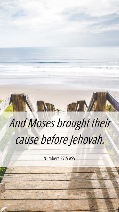 Picture 06 - Numbers 27:5 ASV Mobile Phone Wallpaper - And Moses brought their cause before - Mobile Bible Verse Wallpaper