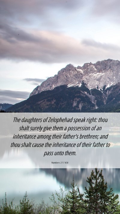 Picture 06 - Numbers 27:7 ASV Mobile Phone Wallpaper - The daughters of Zelophehad speak right: thou - Mobile Bible Verse Wallpaper