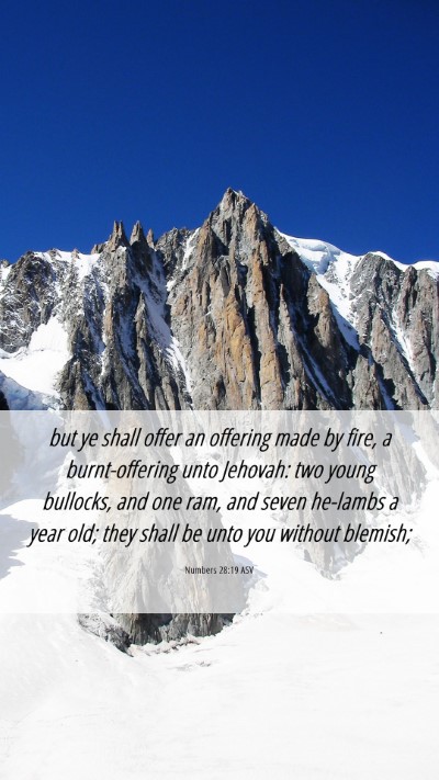 Picture 06 - Numbers 28:19 ASV Mobile Phone Wallpaper - but ye shall offer an offering made by fire, a - Mobile Bible Verse Wallpaper