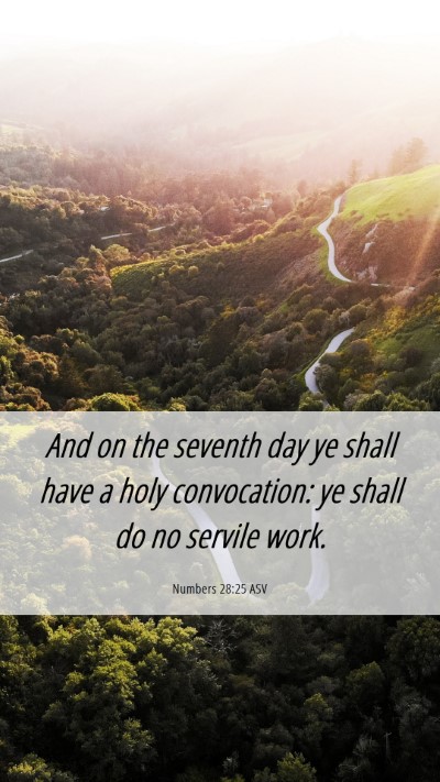 Picture 06 - Numbers 28:25 ASV Mobile Phone Wallpaper - And on the seventh day ye shall have a holy - Mobile Bible Verse Wallpaper