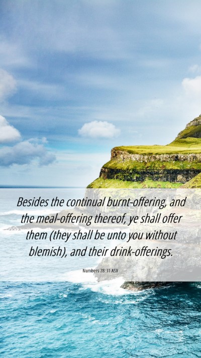 Picture 06 - Numbers 28:31 ASV Mobile Phone Wallpaper - Besides the continual burnt-offering, and the - Mobile Bible Verse Wallpaper