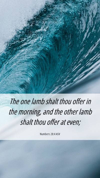 Picture 06 - Numbers 28:4 ASV Mobile Phone Wallpaper - The one lamb shalt thou offer in the morning, and - Mobile Bible Verse Wallpaper