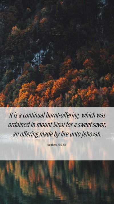 Picture 06 - Numbers 28:6 ASV Mobile Phone Wallpaper - It is a continual burnt-offering, which was - Mobile Bible Verse Wallpaper