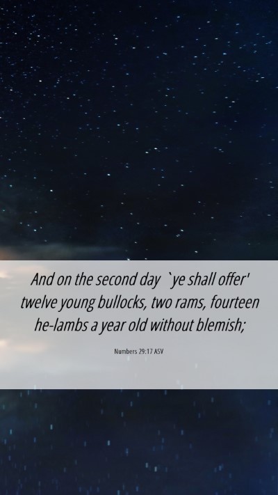 Picture 06 - Numbers 29:17 ASV Mobile Phone Wallpaper - And on the second day `ye shall offer' twelve - Mobile Bible Verse Wallpaper