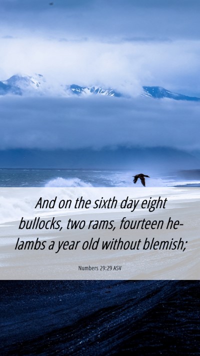 Picture 06 - Numbers 29:29 ASV Mobile Phone Wallpaper - And on the sixth day eight bullocks, two rams, - Mobile Bible Verse Wallpaper