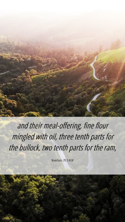 Picture 06 - Numbers 29:3 ASV Mobile Phone Wallpaper - and their meal-offering, fine flour mingled with - Mobile Bible Verse Wallpaper