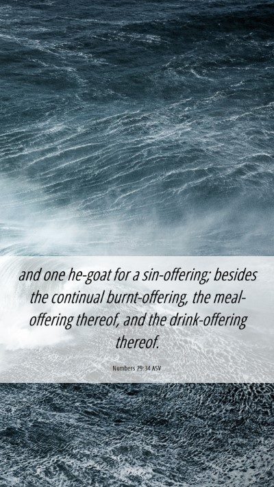 Picture 06 - Numbers 29:34 ASV Mobile Phone Wallpaper - and one he-goat for a sin-offering; besides the - Mobile Bible Verse Wallpaper