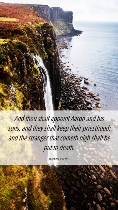 Picture 06 - Numbers 3:10 ASV Mobile Phone Wallpaper - And thou shalt appoint Aaron and his sons, and - Mobile Bible Verse Wallpaper