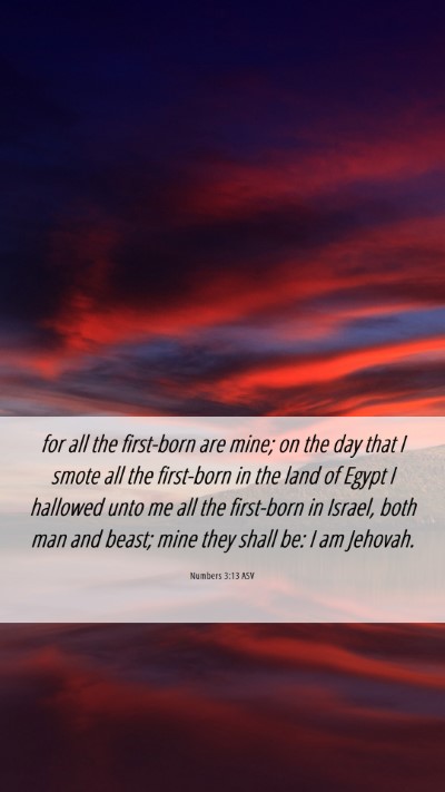 Picture 06 - Numbers 3:13 ASV Mobile Phone Wallpaper - for all the first-born are mine; on the day that - Mobile Bible Verse Wallpaper