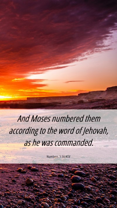 Picture 06 - Numbers 3:16 ASV Mobile Phone Wallpaper - And Moses numbered them according to the word of - Mobile Bible Verse Wallpaper