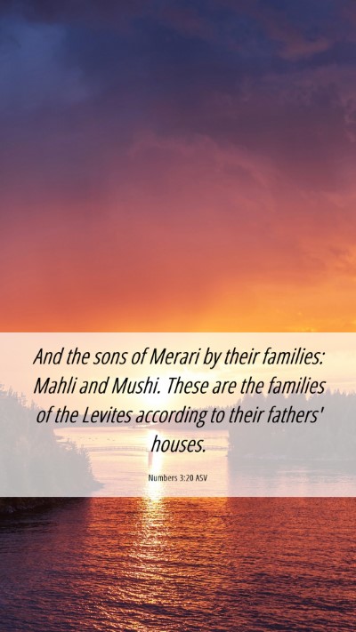 Picture 06 - Numbers 3:20 ASV Mobile Phone Wallpaper - And the sons of Merari by their families: Mahli - Mobile Bible Verse Wallpaper