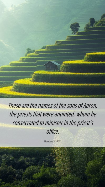 Picture 06 - Numbers 3:3 ASV Mobile Phone Wallpaper - These are the names of the sons of Aaron, the - Mobile Bible Verse Wallpaper