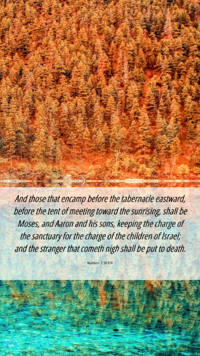 Picture 06 - Numbers 3:38 ASV Mobile Phone Wallpaper - And those that encamp before the tabernacle - Mobile Bible Verse Wallpaper