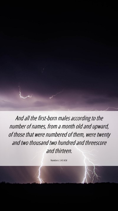 Picture 06 - Numbers 3:43 ASV Mobile Phone Wallpaper - And all the first-born males according to the - Mobile Bible Verse Wallpaper