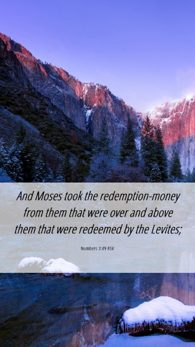 Picture 06 - Numbers 3:49 ASV Mobile Phone Wallpaper - And Moses took the redemption-money from them - Mobile Bible Verse Wallpaper